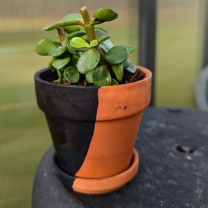 Hand Painted Terra Cotta Pot + Saucer No. 301