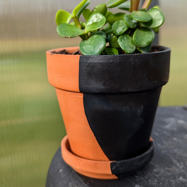 Hand Painted Terra Cotta Pot + Saucer No. 301