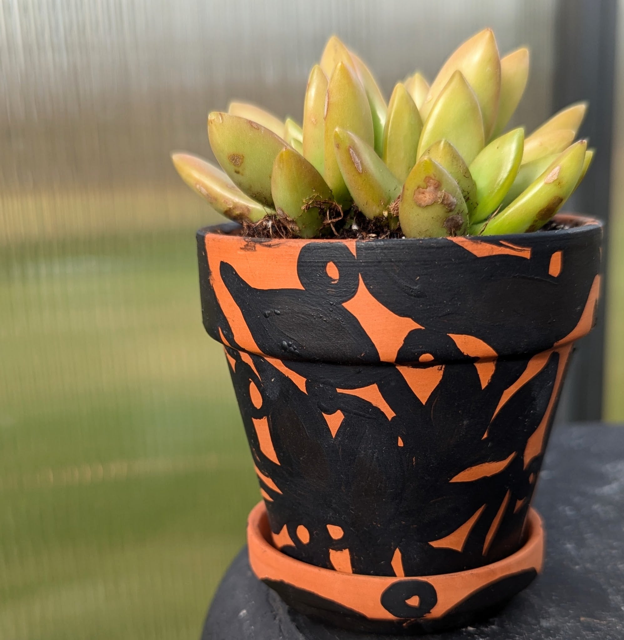 Hand Painted Terra Cotta Pot + Saucer No. 305