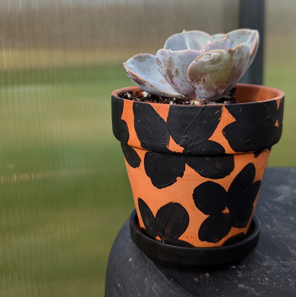 Hand Painted Terra Cotta Pot + Saucer No. 315