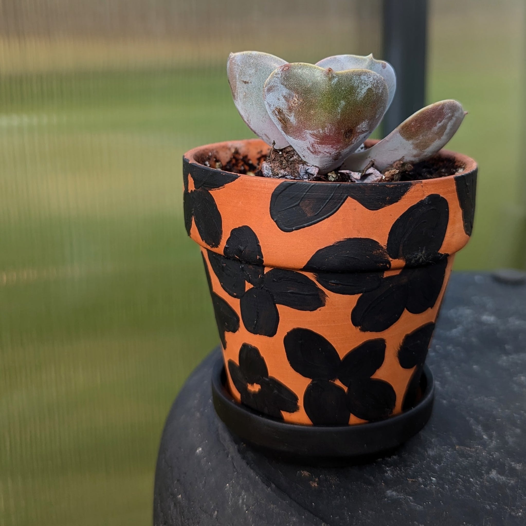 Hand Painted Terra Cotta Pot + Saucer No. 315