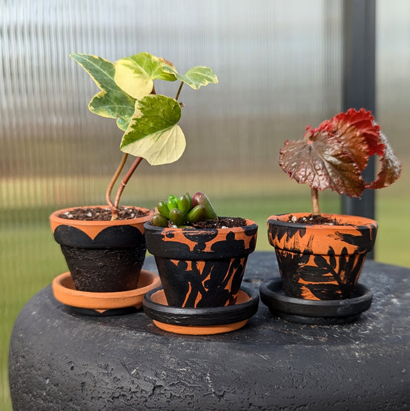 Hand Painted Terra Cotta Pot + Saucer Trio No. 326